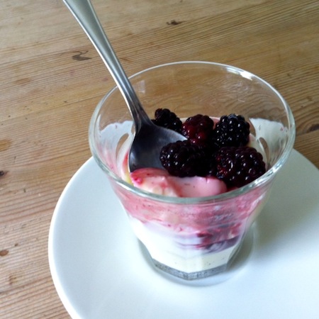 Panna Cotta mit Brombeeren